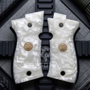 CACHA PIETRO BERETTA 84 FS